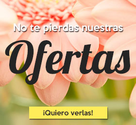 ofertas especiales descuentos decoratualma mobiliario decoracion comprar DTA