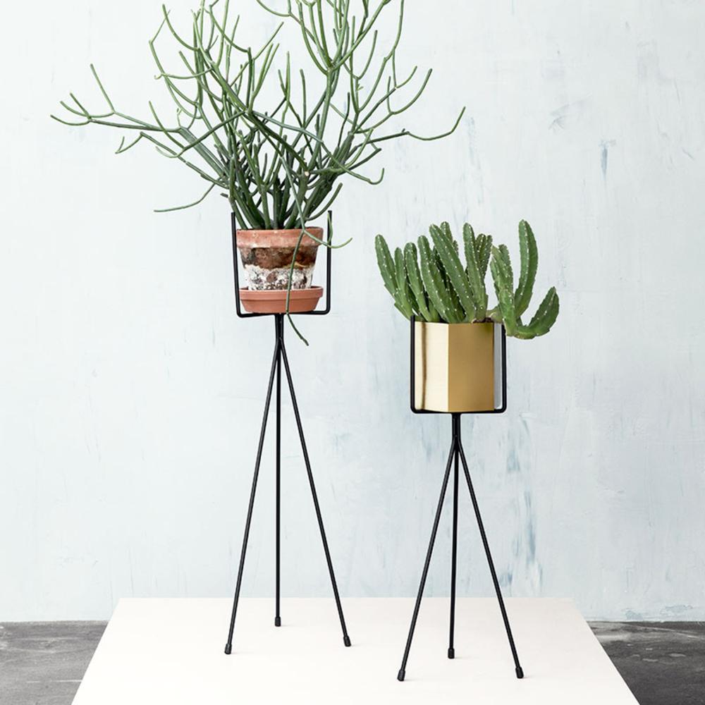 Plantas ferm living regalo para el dia del padre regalos decoratualma dta