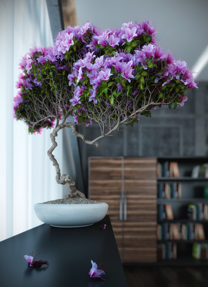 Purple-bonsai-tree decoratualma dta interior plantas interior