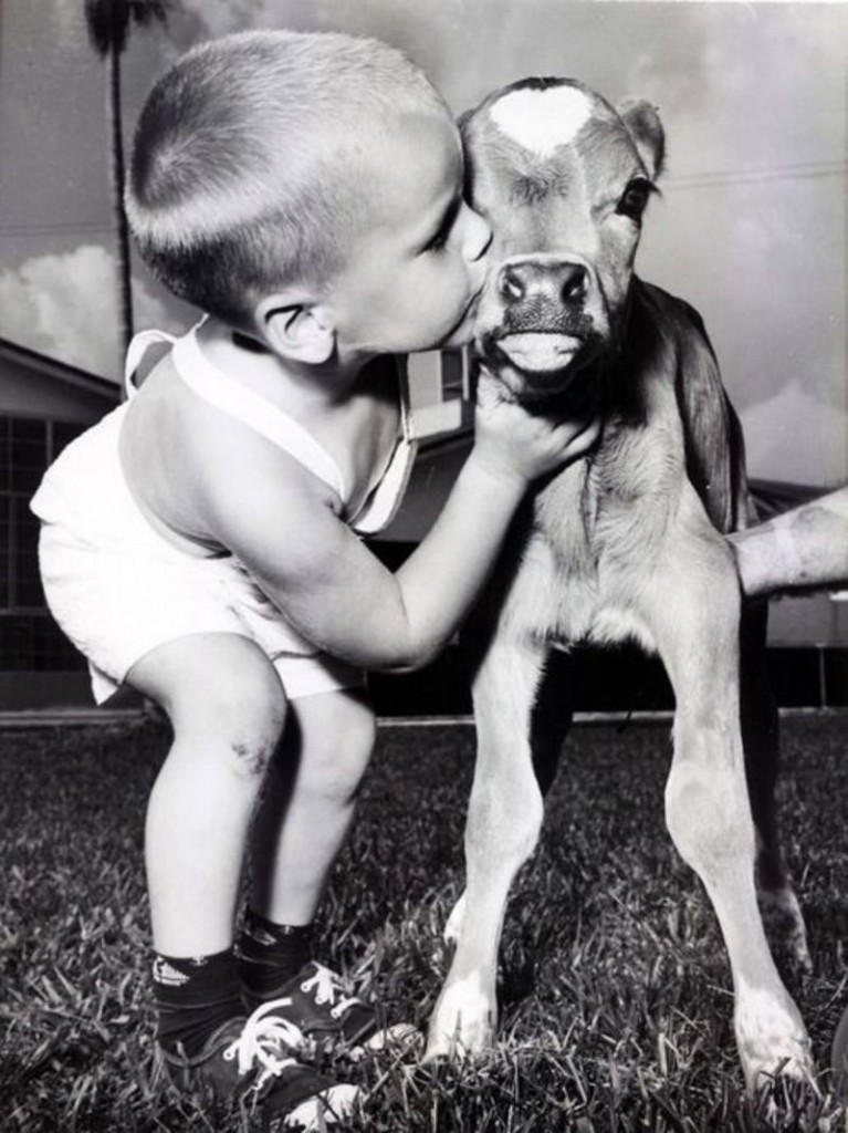 beso tierno del niño al animal