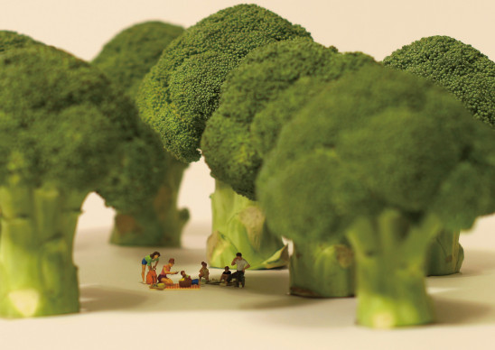 bosque en miniatura decoratualma dta arte