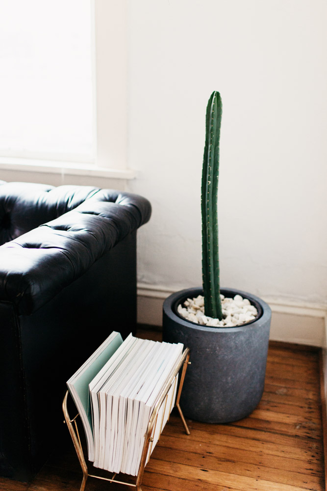 3 detalle planta cactus decoratualma dta